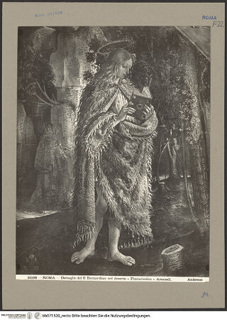 Vorderseite von Alinari [https://www.deutsche-digitale-bibliothek.de/content/lizenzen/rv-ez/] Szenen aus dem Leben des heiligen Bernhardin von SienaDer heilige Bernhardin von Siena in der Einöde - Detail: Bernhardin, bh071530_recto. Foto.