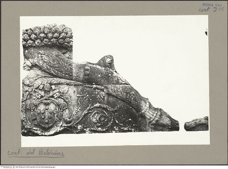 Vorderseite von bh073064_recto