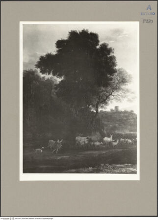 Vorderseite von bh073417_recto