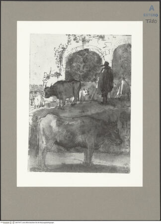 Vorderseite von bh073477_recto