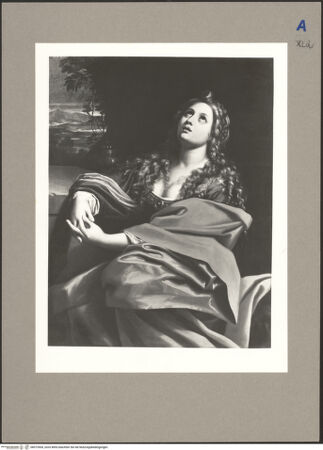 Vorderseite von bh073500_recto