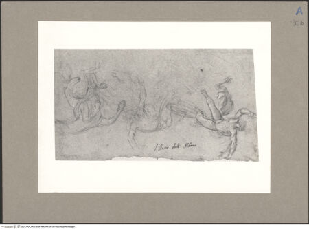 Vorderseite von bh073504_recto