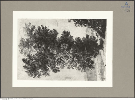 Vorderseite von bh073505_recto