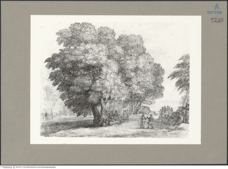 Vorderseite von bh073517_recto