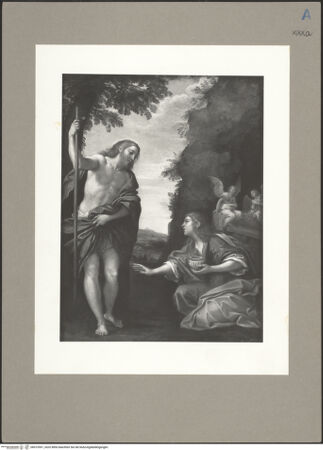 Vorderseite von bh073591_recto