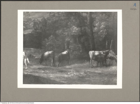 Vorderseite von bh073628_recto