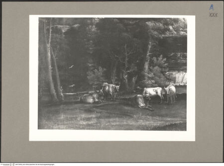 Vorderseite von bh073698_recto