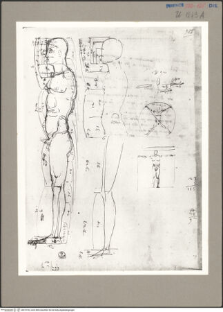 Vorderseite von bh073752_recto