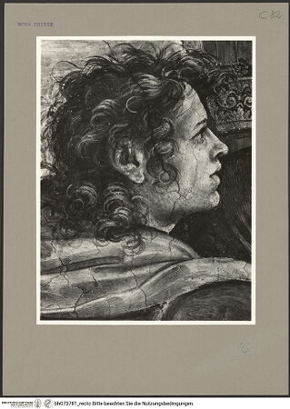 Vorderseite von bh073781_recto