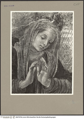 Vorderseite von bh073784_recto