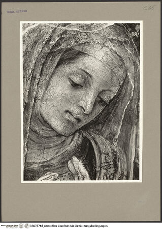 Vorderseite von bh073785_recto