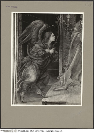 Vorderseite von bh073800_recto