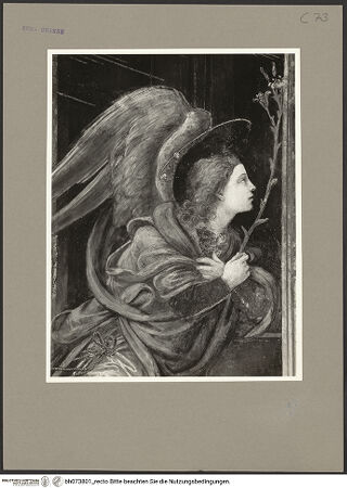 Vorderseite von bh073801_recto