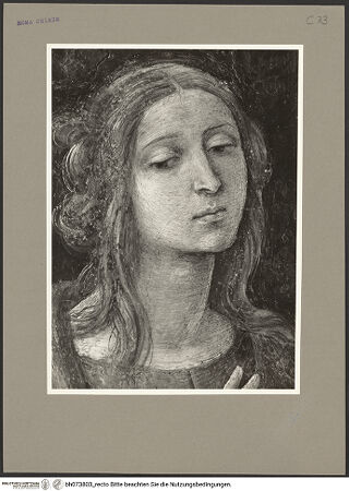 Vorderseite von bh073803_recto