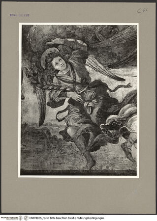 Vorderseite von bh073806_recto