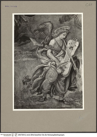 Vorderseite von bh073812_recto