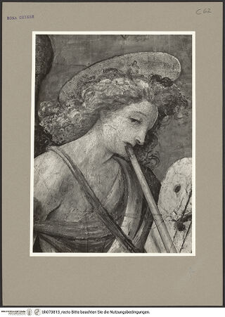 Vorderseite von bh073813_recto