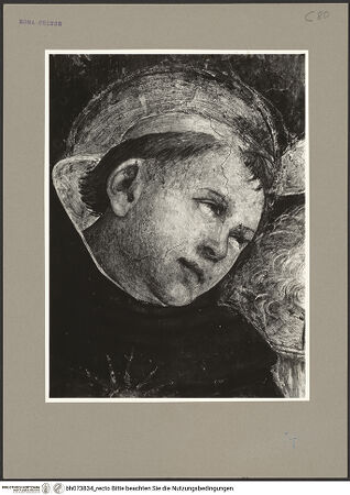 Vorderseite von bh073834_recto