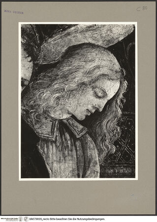 Vorderseite von bh073835_recto