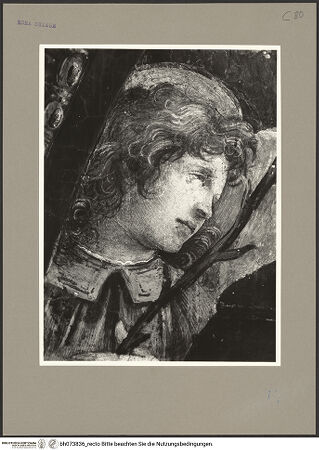 Vorderseite von bh073836_recto