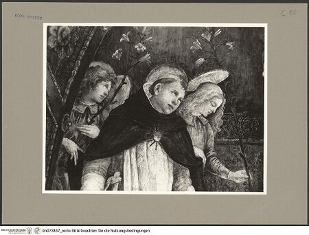 Vorderseite von bh073837_recto