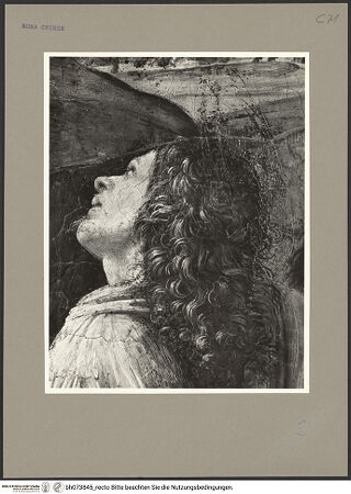 Vorderseite von bh073845_recto