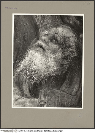 Vorderseite von bh073846_recto