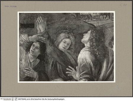 Vorderseite von bh073848_recto