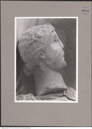 Vorderseite von Sopr. BAS NA [https://www.deutsche-digitale-bibliothek.de/content/lizenzen/rv-ez/] Kopf der Capua Fidelis - Profil (von links), bh073871_recto. Foto.