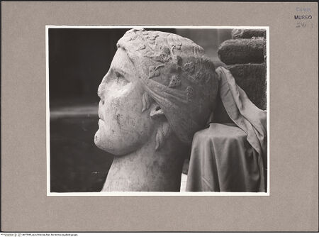 Vorderseite von Sopr. BAS NA [https://www.deutsche-digitale-bibliothek.de/content/lizenzen/rv-ez/] Kopf der Capua Fidelis - Profil (von rechts), bh073883_recto. Foto.