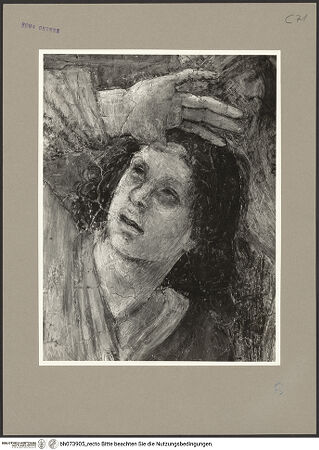 Vorderseite von bh073905_recto