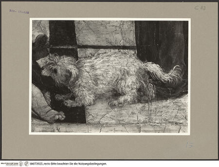 Vorderseite von bh073925_recto