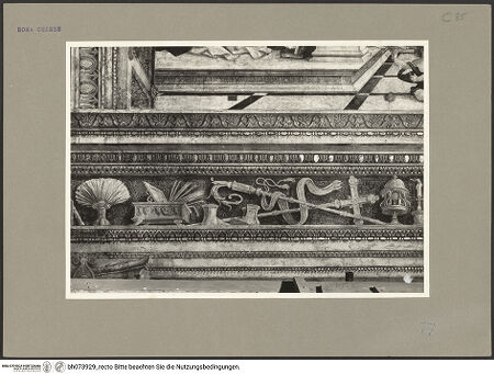 Vorderseite von bh073929_recto