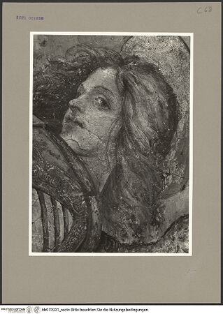 Vorderseite von bh073931_recto