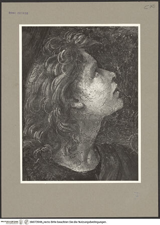 Vorderseite von bh073946_recto