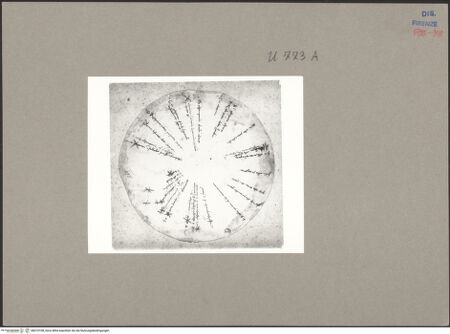 Vorderseite von bh074108_recto