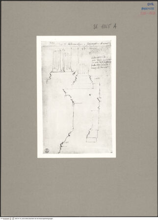 Vorderseite von bh074116_recto