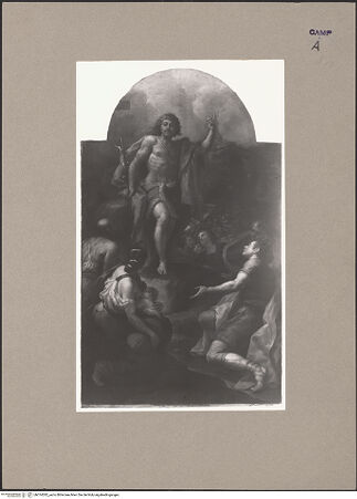 Vorderseite von Sopr. BAS NA [https://www.deutsche-digitale-bibliothek.de/content/lizenzen/rv-ez/] Heiliger Johannes der Täufer - Gesamtansicht (nach der Restaurierung), bh074282_recto. Foto.