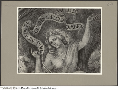 Vorderseite von bh074427_recto