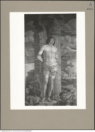 Vorderseite von bh074517_recto