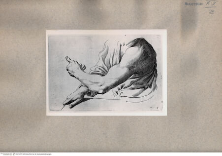 Vorderseite von  [http://creativecommons.org/publicdomain/mark/1.0/] der Arm - , bh074599. Foto.