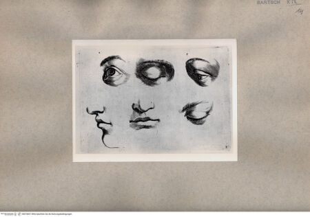 Vorderseite von  [http://creativecommons.org/publicdomain/mark/1.0/] Augenstudie - , bh074601. Foto.