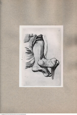 Vorderseite von  [http://creativecommons.org/publicdomain/mark/1.0/] Studie von Beinen - , bh074602. Foto.