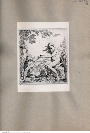 Vorderseite von  [http://creativecommons.org/publicdomain/mark/1.0/] Adam und Eva - , bh074617. Foto.