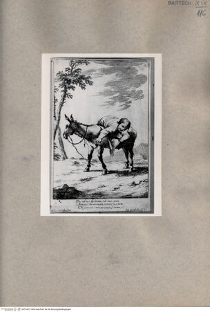 Vorderseite von  [http://creativecommons.org/publicdomain/mark/1.0/] Bertoldo - , bh074627. Foto.