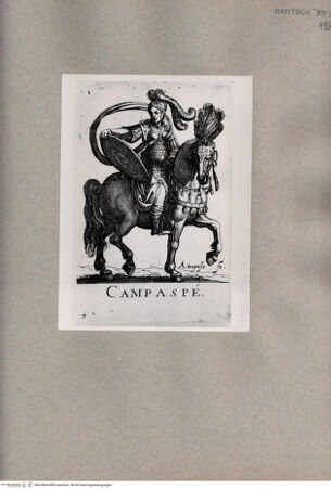 Vorderseite von  [http://creativecommons.org/publicdomain/mark/1.0/] Kampaspe - , bh074844. Foto.