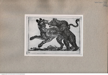 Vorderseite von unbekannt [http://creativecommons.org/publicdomain/mark/1.0/] Tiger (?) und Bär im Kampf - , bh074956. Foto.