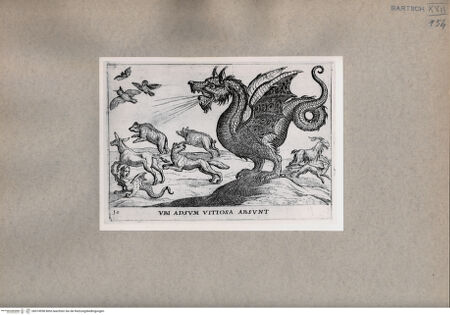 Vorderseite von  [http://creativecommons.org/publicdomain/mark/1.0/] Ein Drache vertreibt Tiere - , bh074958. Foto.