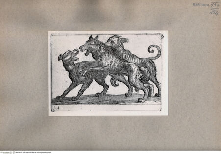 Vorderseite von  [http://creativecommons.org/publicdomain/mark/1.0/] Die Hunde und der Wolf - , bh074959. Foto.