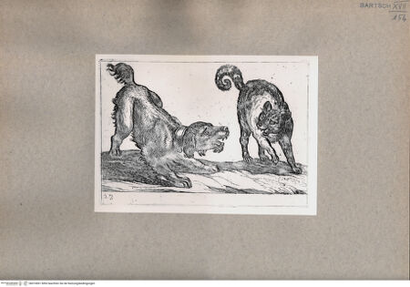 Vorderseite von unbekannt [http://creativecommons.org/publicdomain/mark/1.0/] Ein Hund und eine Katze - , bh074961. Foto.